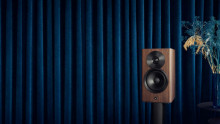Dynaudio Focus 10 Emea Walnut
