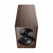Dynaudio Focus 10 Emea Walnut